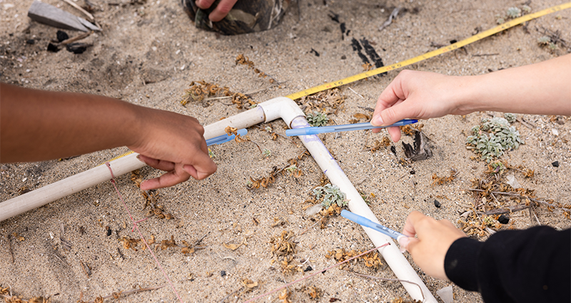 LMU CRI interns pointing at plants growing on sand dunes